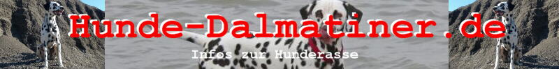 Dalmatiner Infos zur Rasse auf hunde-dalmatiner.de